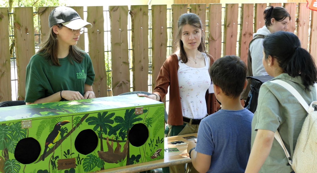 Familienfest01052025_Eva (1) Zoo-Mitarbeiterinnen stehen hinter einem Tisch. Auf dem Tisch liegen verschiedene Tierfotos und daneben steht eine große Holzkiste, die mit Tiermotiven bemalt ist und mehrere mit Stoff verdeckte Löcher zum Reingreifen hat. Vor dem Tisch stehen Zoobesucher, die sich die Fotos anschauen.
