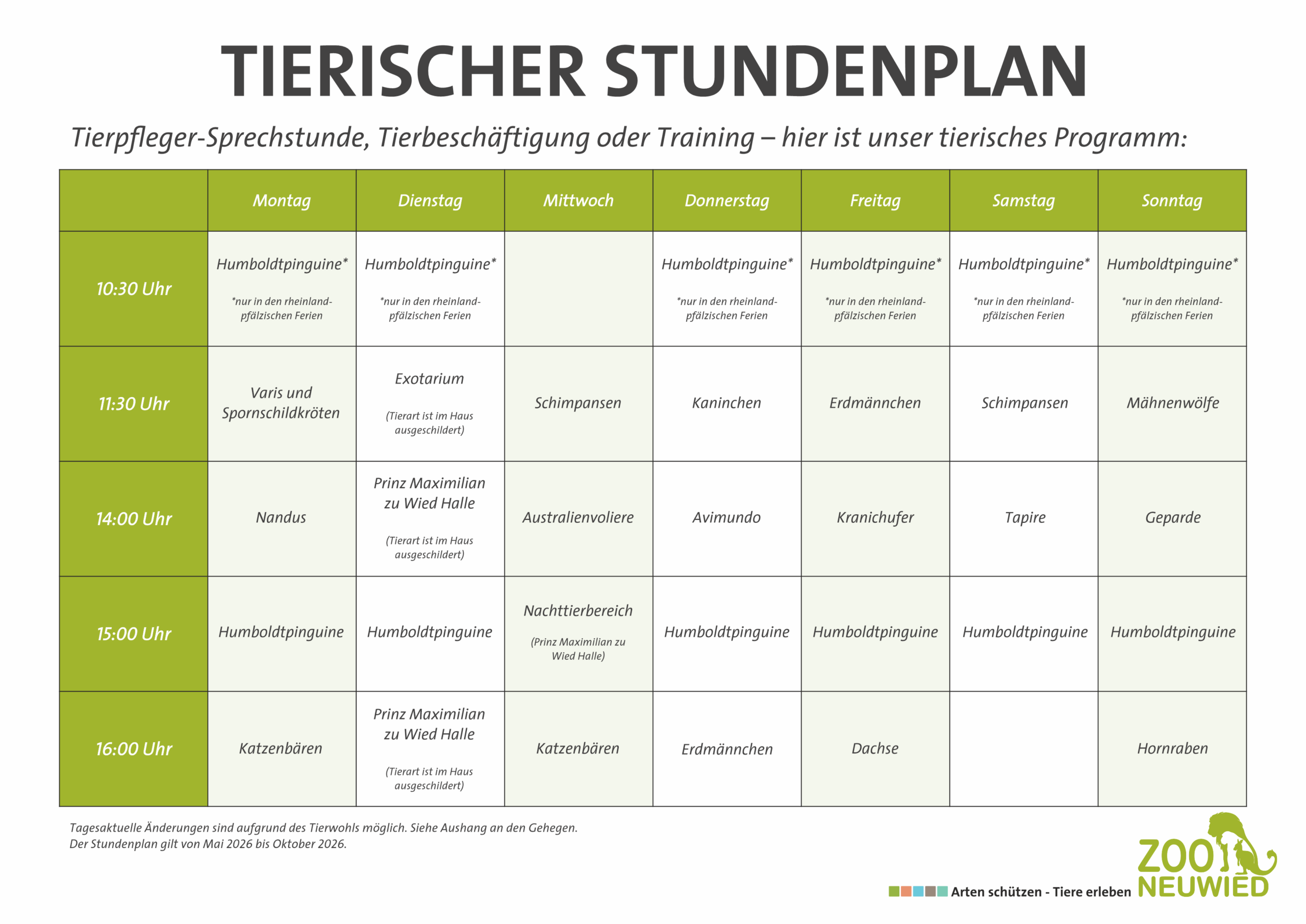 Tierischer Stundenplan quer